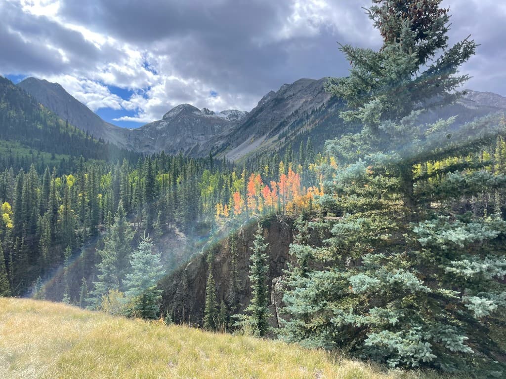 BackBy activity planning on a phone in mountain terrain